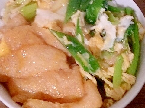 長ネギとうす揚げの卵とじ丼